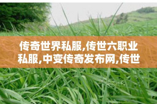 传奇世界私服,传世六职业私服,中变传奇发布网,传世六职业私服