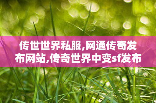 传世世界私服,网通传奇发布网站,传奇世界中变sf发布,网通传奇发布网站