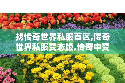 找传奇世界私服首区,传奇世界私服变态版,传奇中变sf发布网,传奇世界私服变态版