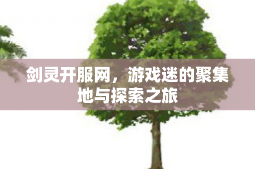 剑灵开服网，游戏迷的聚集地与探索之旅