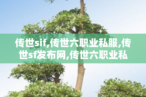 传世sif,传世六职业私服,传世sf发布网,传世六职业私服