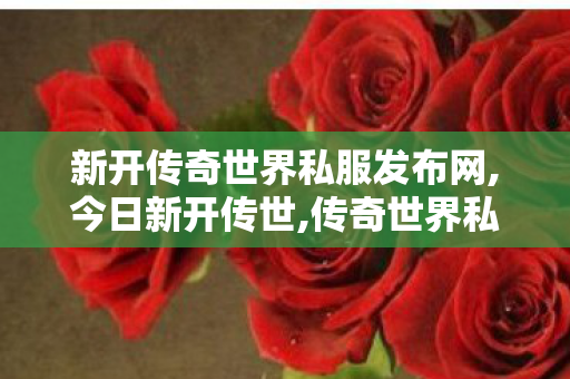 新开传奇世界私服发布网,今日新开传世,传奇世界私服网站发布网,今日新开传世