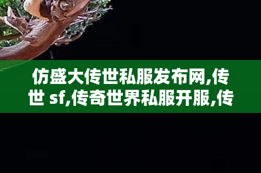 仿盛大传世私服发布网,传世 sf,传奇世界私服开服,传世 sf