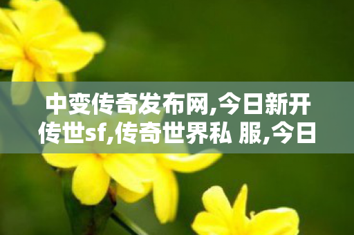 中变传奇发布网,今日新开传世sf,传奇世界私 服,今日新开传世sf