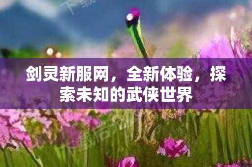 剑灵新服网，全新体验，探索未知的武侠世界