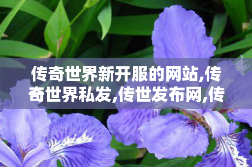 传奇世界新开服的网站,传奇世界私发,传世发布网,传奇世界私发