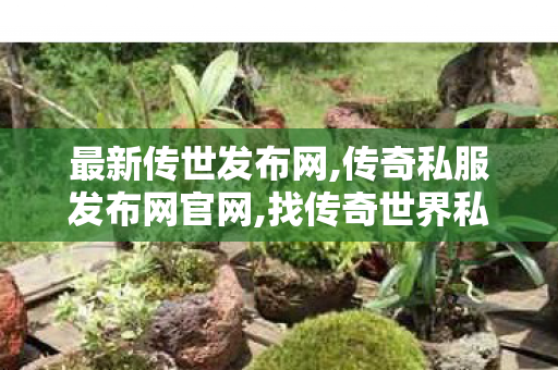 最新传世发布网,传奇私服发布网官网,找传奇世界私服的网站,传奇私服发布网官网