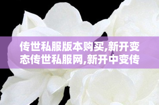 传世私服版本购买,新开变态传世私服网,新开中变传奇世界sf,新开变态传世私服网