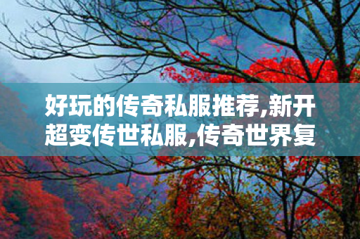 好玩的传奇私服推荐,新开超变传世私服,传奇世界复古金币版,新开超变传世私服