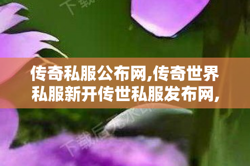 传奇私服公布网,传奇世界私服新开传世私服发布网,传奇世界月卡私服,传奇世界私服新开传世私服发布网