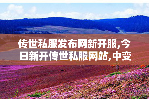 传世私服发布网新开服,今日新开传世私服网站,中变传世sf发布网站,今日新开传世私服网站