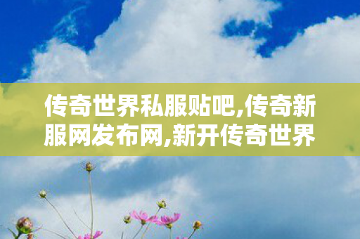 传奇世界私服贴吧,传奇新服网发布网,新开传奇世界私服发布,传奇新服网发布网