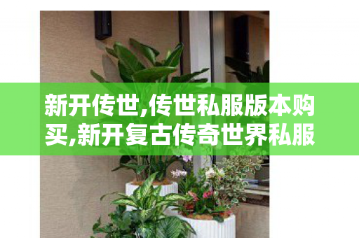 新开传世,传世私服版本购买,新开复古传奇世界私服,传世私服版本购买