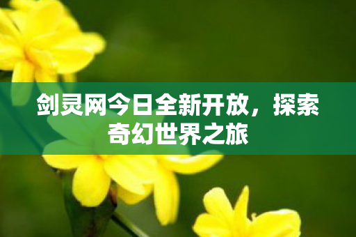 剑灵网今日全新开放，探索奇幻世界之旅