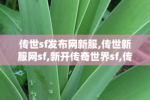 传世sf发布网新服,传世新服网sf,新开传奇世界sf,传世新服网sf