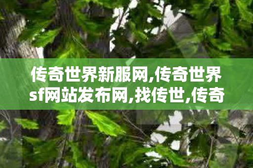 传奇世界新服网,传奇世界sf网站发布网,找传世,传奇世界sf网站发布网