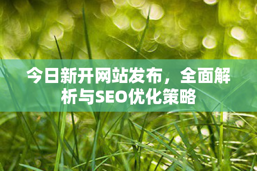 今日新开网站发布，全面解析与SEO优化策略