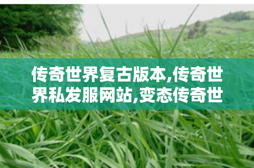 传奇世界复古版本,传奇世界私发服网站,变态传奇世界sf,传奇世界私发服网站