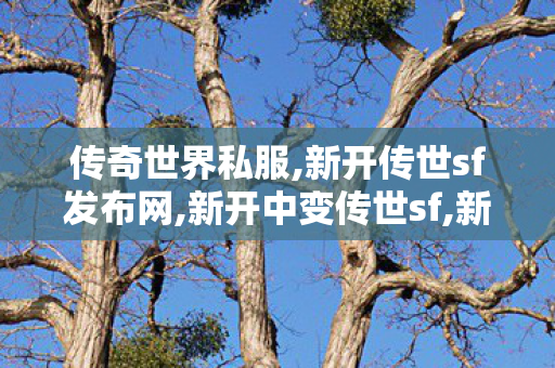 传奇世界私服,新开传世sf发布网,新开中变传世sf,新开传世sf发布网