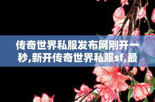 传奇世界私服发布网刚开一秒,新开传奇世界私服sf,最新开传世私服,新开传奇世界私服sf