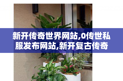 新开传奇世界网站,0传世私服发布网站,新开复古传奇世界私服,0传世私服发布网站