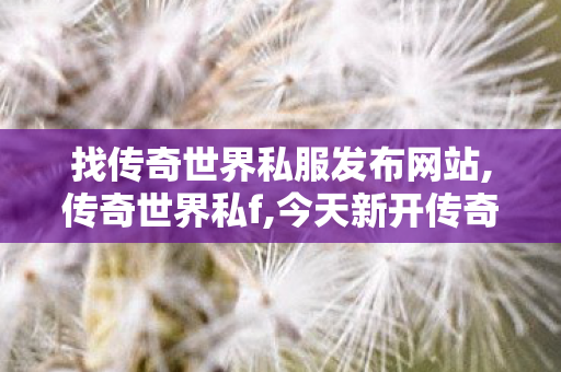 找传奇世界私服发布网站,传奇世界私f,今天新开传奇世界私服,传奇世界私f
