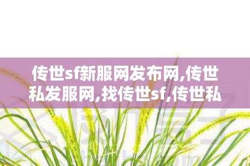 传世sf新服网发布网,传世私发服网,找传世sf,传世私发服网