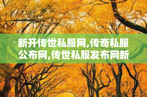 新开传世私服网,传奇私服公布网,传世私服发布网新开服,传奇私服公布网