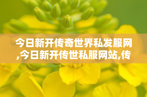 今日新开传奇世界私发服网,今日新开传世私服网站,传奇私 服网站,今日新开传世私服网站