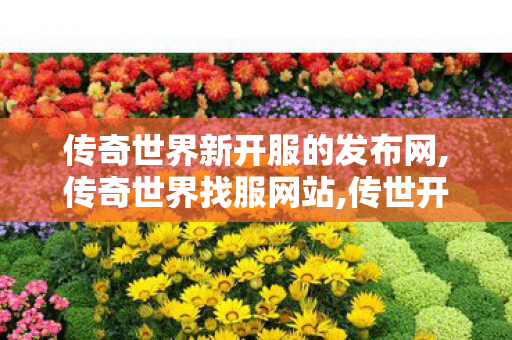 传奇世界新开服的发布网,传奇世界找服网站,传世开sf,传奇世界找服网站