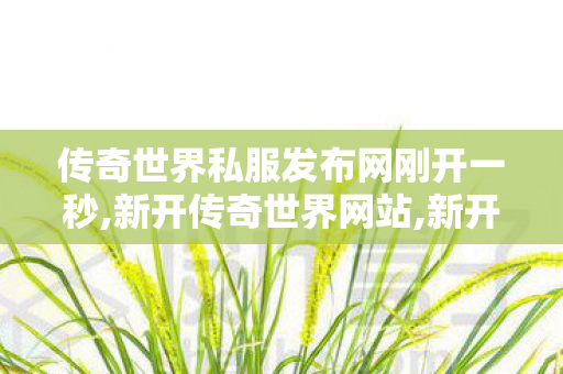 传奇世界私服发布网刚开一秒,新开传奇世界网站,新开传世私服,新开传奇世界网站