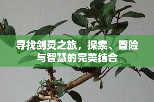 寻找剑灵之旅，探索、冒险与智慧的完美结合