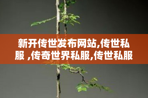 新开传世发布网站,传世私服 ,传奇世界私服,传世私服