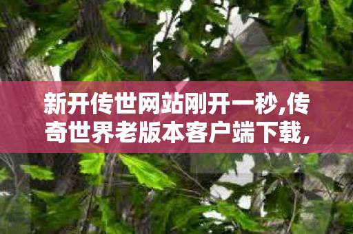 新开传世网站刚开一秒,传奇世界老版本客户端下载,传奇世界私 服,传奇世界老版本客户端下载