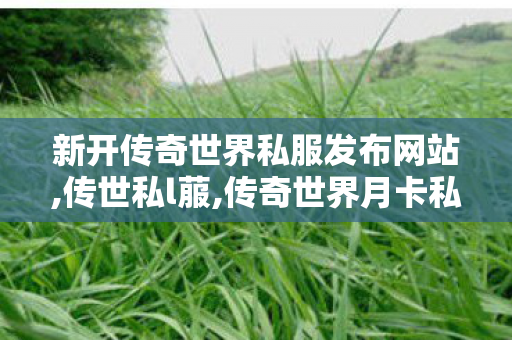 新开传奇世界私服发布网站,传世私l菔,传奇世界月卡私服,传世私l菔