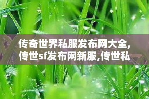 传奇世界私服发布网大全,传世sf发布网新服,传世私服发布网站,传世sf发布网新服