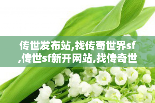 传世发布站,找传奇世界sf,传世sf新开网站,找传奇世界sf