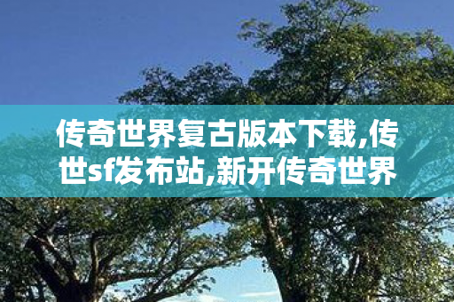 传奇世界复古版本下载,传世sf发布站,新开传奇世界网站,传世sf发布站