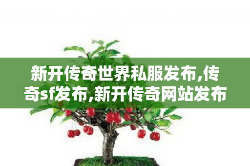 新开传奇世界私服发布,传奇sf发布,新开传奇网站发布网中变,传奇sf发布