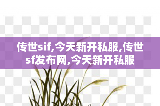 传世sif,今天新开私服,传世sf发布网,今天新开私服