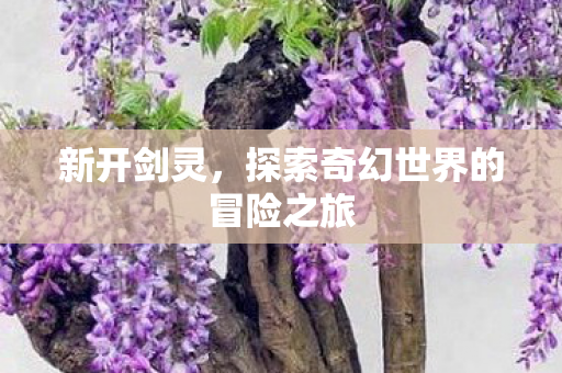 新开剑灵，探索奇幻世界的冒险之旅
