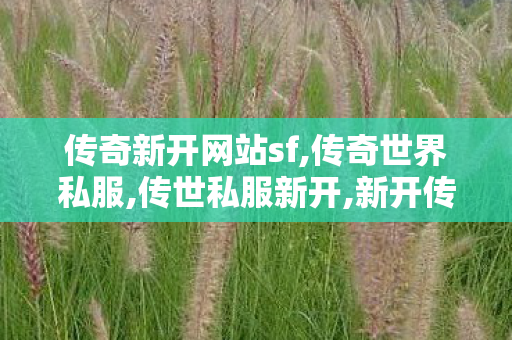 传奇新开网站sf,传奇世界私服,传世私服新开,新开传世伏,传奇世界私服,传世私服新开