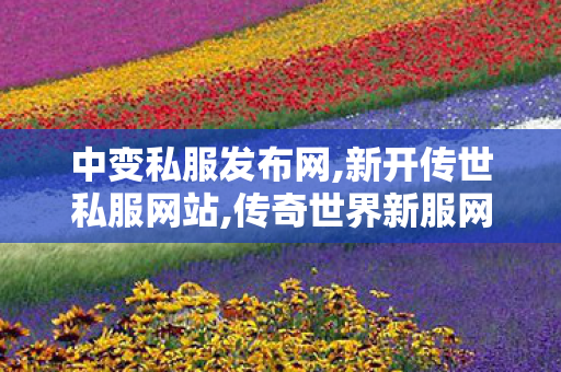中变私服发布网,新开传世私服网站,传奇世界新服网,新开传世私服网站