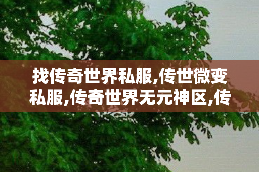 找传奇世界私服,传世微变私服,传奇世界无元神区,传世微变私服