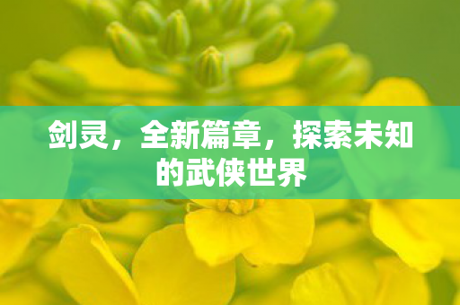 剑灵，全新篇章，探索未知的武侠世界