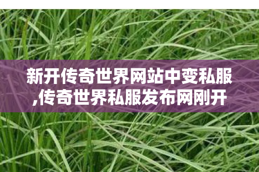 新开传奇世界网站中变私服,传奇世界私服发布网刚开一秒,传奇世界私服网,传奇世界私服发布网刚开一秒