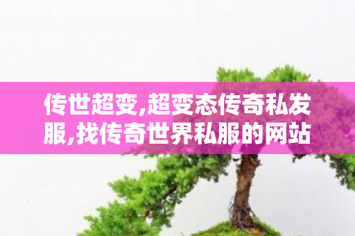 传世超变,超变态传奇私发服,找传奇世界私服的网站,超变态传奇私发服