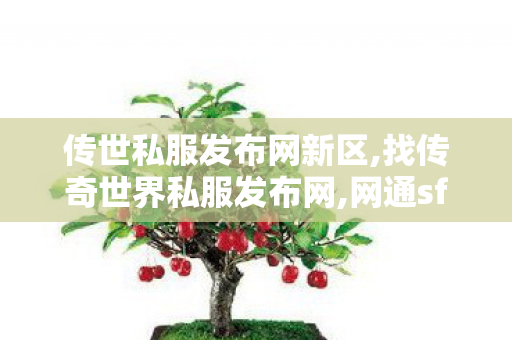 传世私服发布网新区,找传奇世界私服发布网,网通sf,找传奇世界私服发布网
