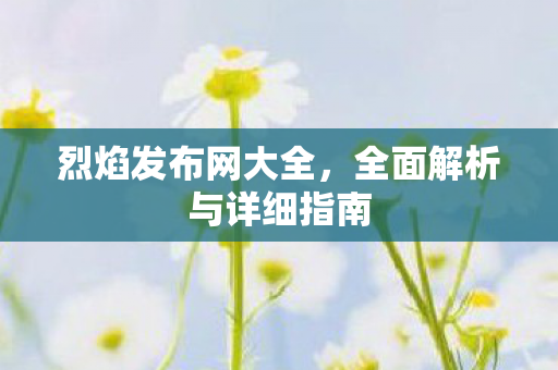 烈焰发布网大全，全面解析与详细指南