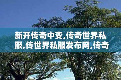 新开传奇中变,传奇世界私 服,传世界私服发布网,传奇世界私 服